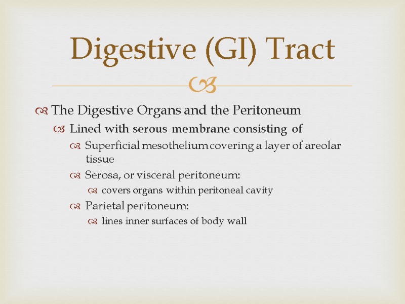 The Digestive Organs and the Peritoneum Lined with serous membrane consisting of Superficial mesothelium